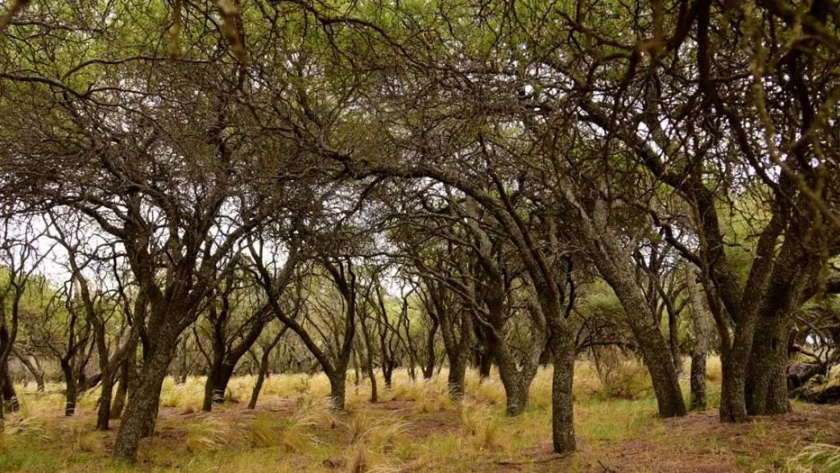 Una nueva posibilidad para el turismo de naturaleza en La Pampa