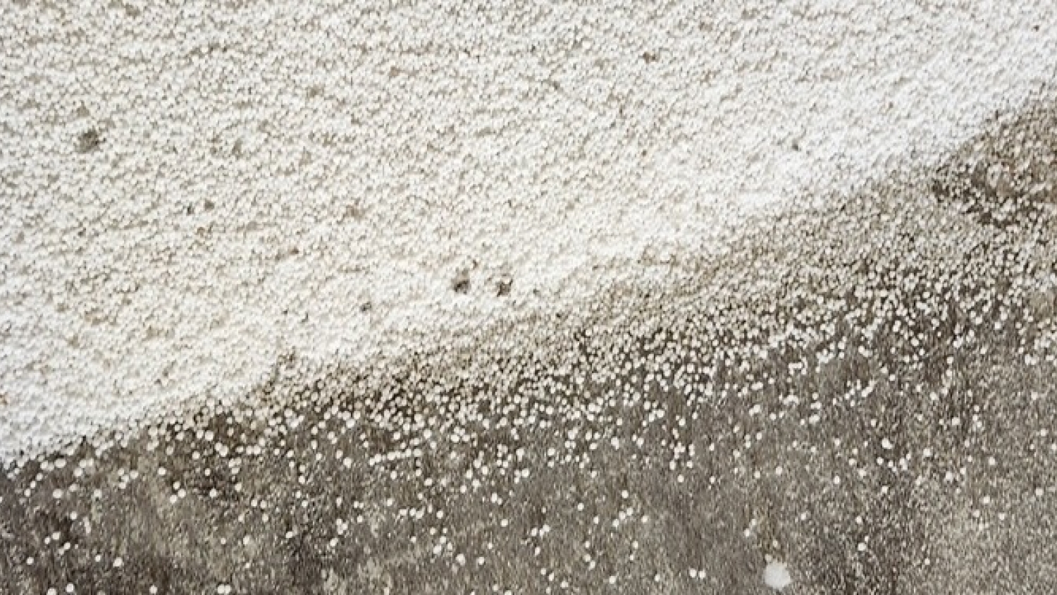 Pampa Energía invertirá US$ 2.700 millones para construir una de las mayores plantas de urea del mundo