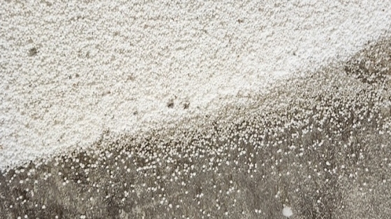 Pampa Energía invertirá US$ 2.700 millones para construir una de las mayores plantas de urea del mundo