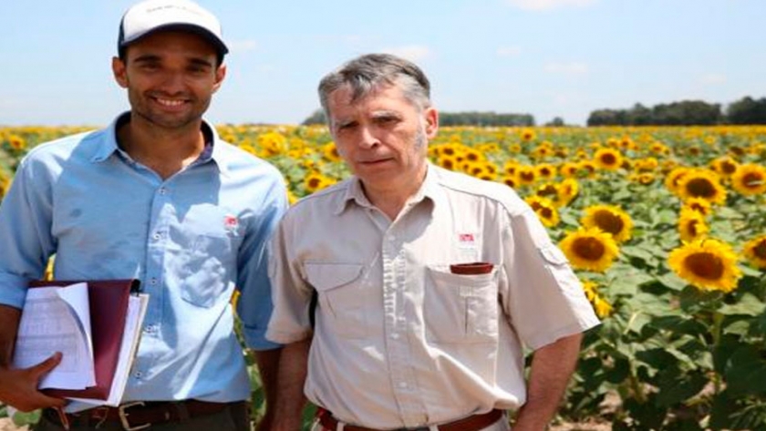 Cooperación internacional en mejoramiento de girasol
