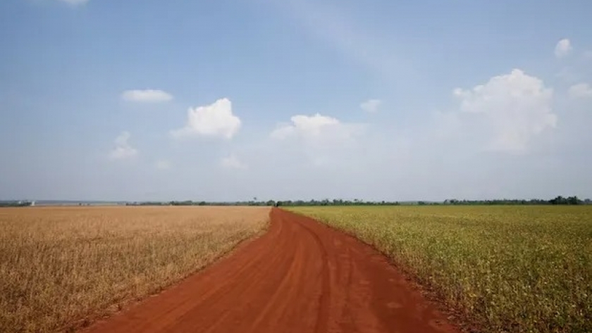 Crecen cerca de la Argentina: cómo son los impuestos al campo en el país que se volvió furor para los inversores, sobre todo del agro