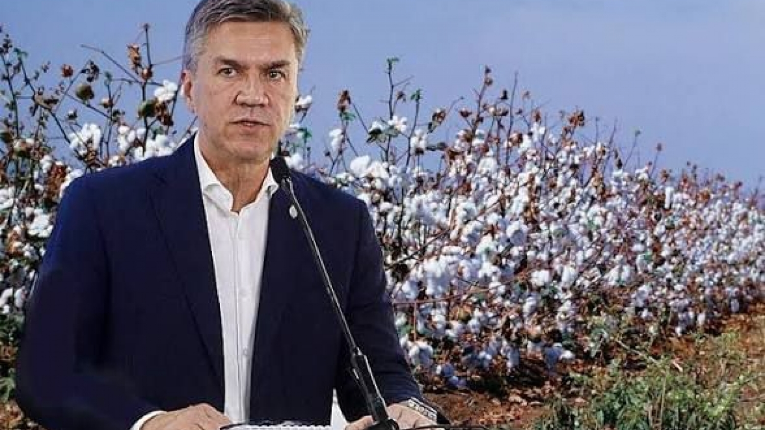 Chaco impulsa el algodón con una bonificación del 60% en semillas