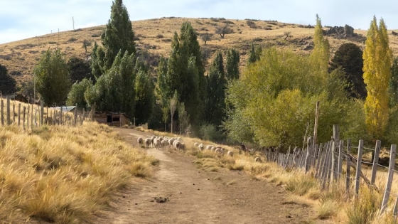 Carri Lil: el sendero mapuche escondido entre pozones, cascadas y sabiduría ancestral