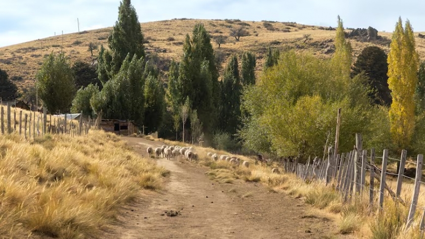 Carri Lil: el sendero mapuche escondido entre pozones, cascadas y sabiduría ancestral