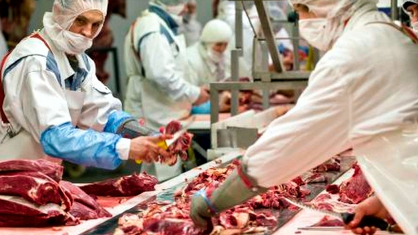 Un frigorífico producirá su propia energía mediante dieta única