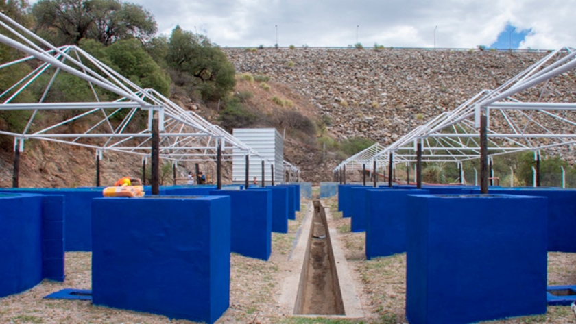 San Luis Agua trabaja en la puesta en valor de la estación de piscicultura de Río Grande