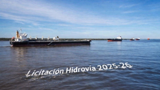 El Gobierno prometió bajar costos, pero expertos advierten que la nueva licitación puede encarecer las exportaciones por 30 años