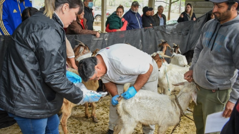 Jornada de charlas y capacitaciones para productores ganaderos de Catamarca