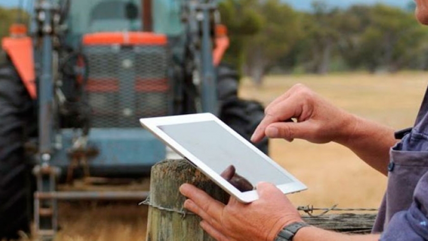 Cómo usa el agro la inteligencia artificial