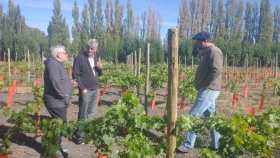El Gobierno de la Provincia fomenta la producción vitivinícola en Sarmiento