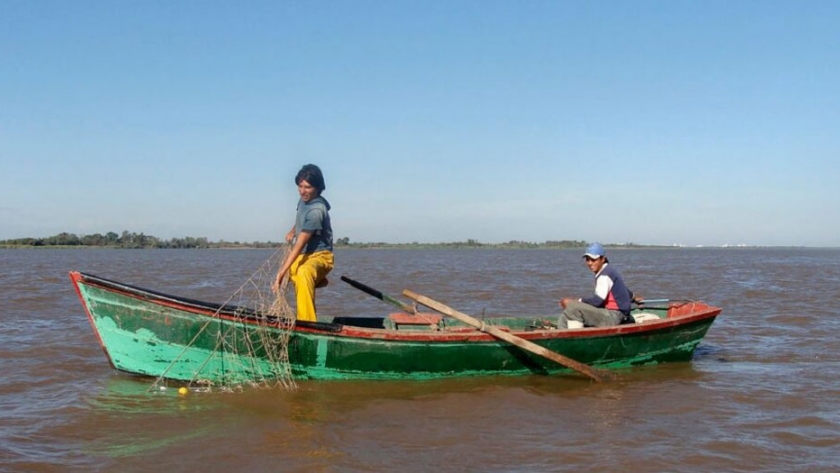 Habilitan la pesca comercial y extracción de carnada viva