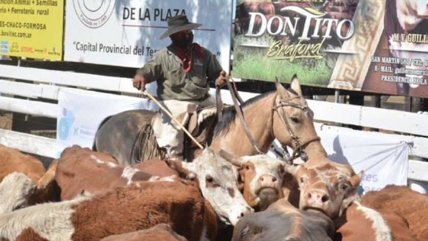 Buenos precios y gran participación de productores en el séptimo remate ganadero del año
