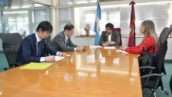 Japón apuesta al litio salteño: buscan afianzar inversiones mineras en el norte argentino
