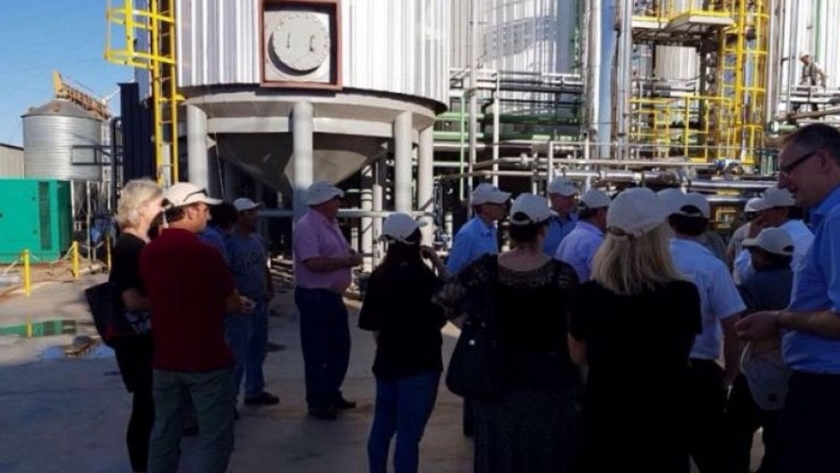 Valor agregado en origen: los beneficios de producir bioetanol al lado del feedlot