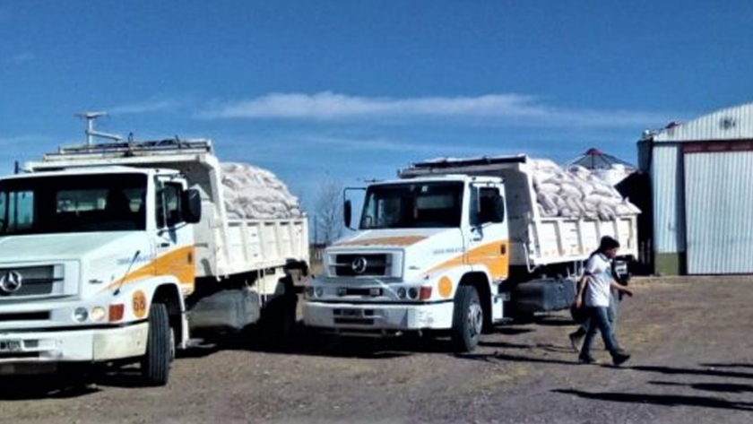 Economía ya entregó más de 70 mil kilos en alimentos balanceados a municipios caprineros