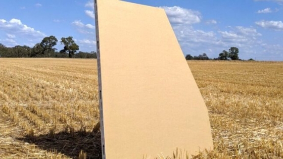 Fabricarán placas de rastrojo de trigo sustentables para construir viviendas