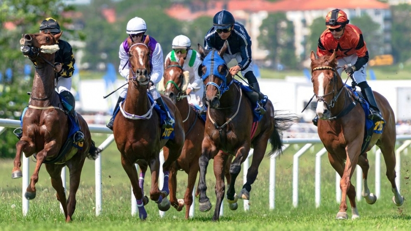 Caballos de carrera: cuáles son los cuidados especiales que reciben estos verdaderos “atletas” de alto rendimiento