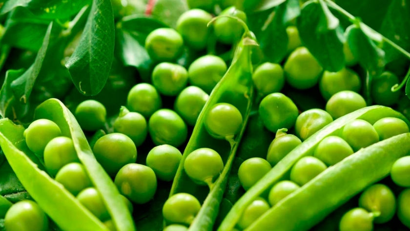 La nutrición de las legumbres