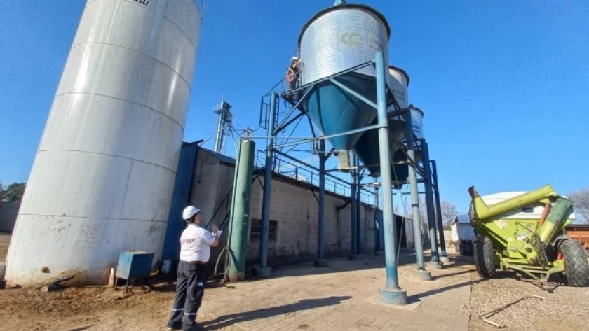 Paraguay valida denuncia de la Aduana por sobrefacturación de importaciones a siete cerealeras