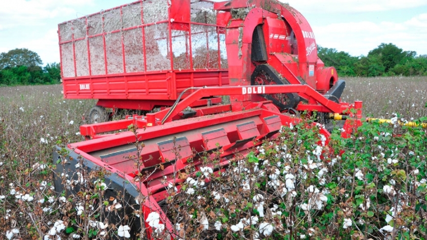 Dolbi exportará cosechadoras de algodón a Turquía y Sudán