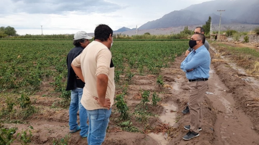 Asisten a productores afectados por el granizo