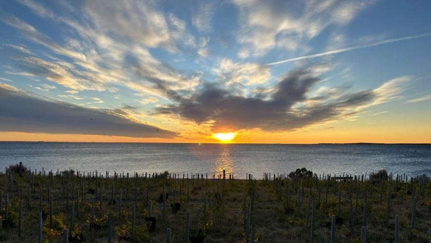 Bahía Bustamante: el paraíso natural de la Patagonia, conocido como la Galápagos argentina