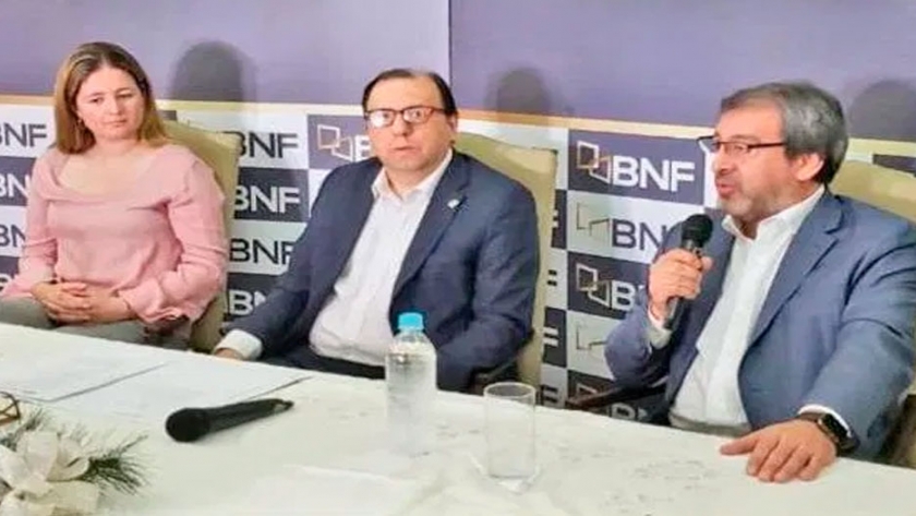 Paraguay: promueven financiamiento para forestaciones de eucalipto con destino comercial