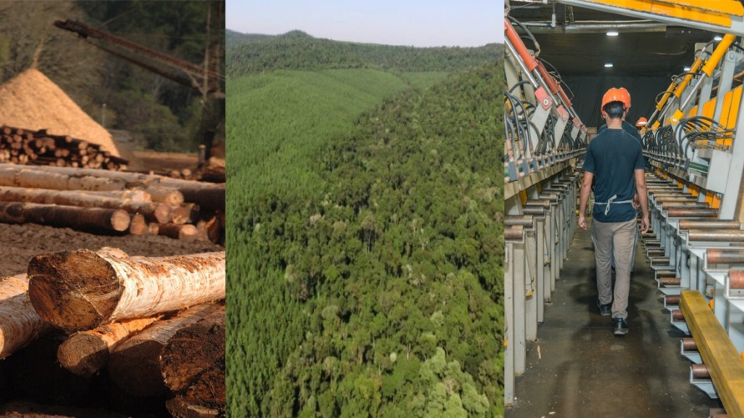 La industria maderera enfrenta un escenario crítico en 2026 por la caída del consumo y la falta de obra pública