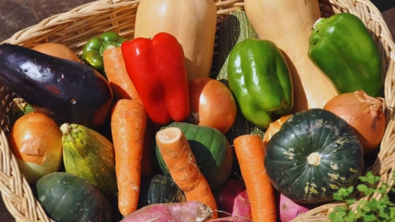 ExpHortAr 2025: innovación, tecnología y articulación para fortalecer la horticultura argentina