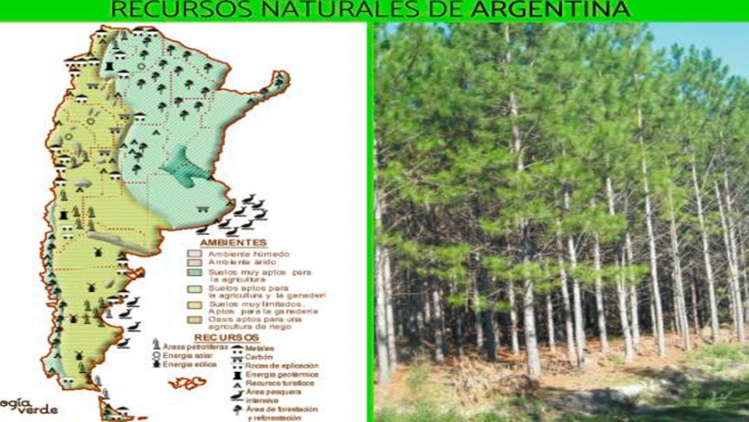 Recursos naturales en Argentina