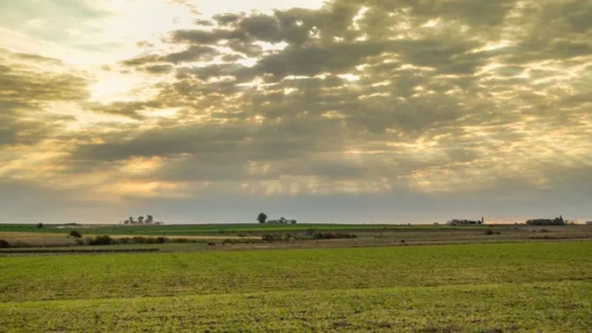 Aseguran que es el momento ideal para invertir en tierras