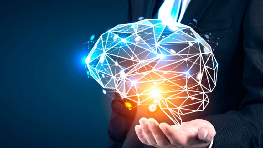 Neuroliderazgo: cómo optimizar nuestro cerebro