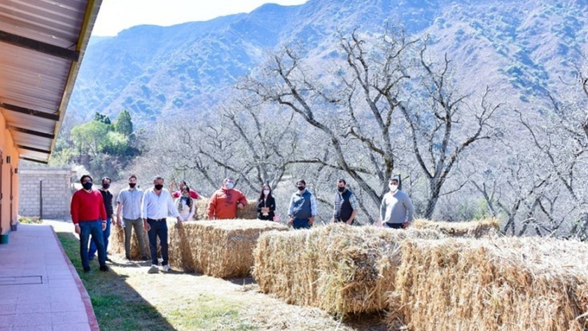 Asistencia a productores ganaderos catamarqueños