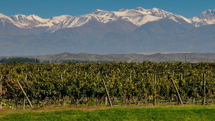 Guía para recorrer las mejores bodegas de Mendoza