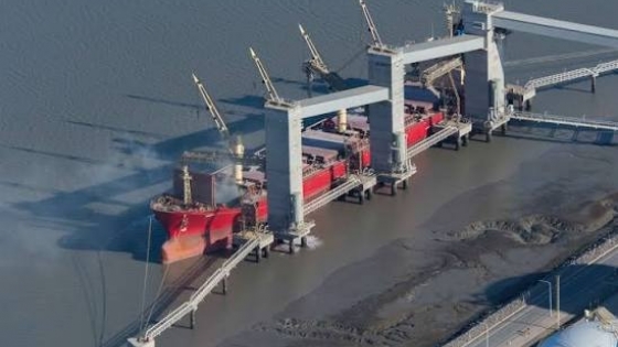 Exportaciones: Argentina logró reabrir y abrir más de 290 mercados internacionales en la primera mitad de 2026