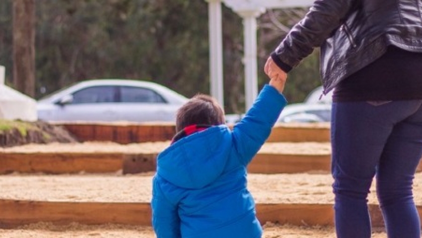 Embellecimiento en plazas y espacios públicos