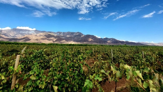 Tinogasta impulsa desarrollo agropecuario y vitivinícola