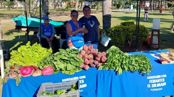 Agro en El Colorado: récord de producción