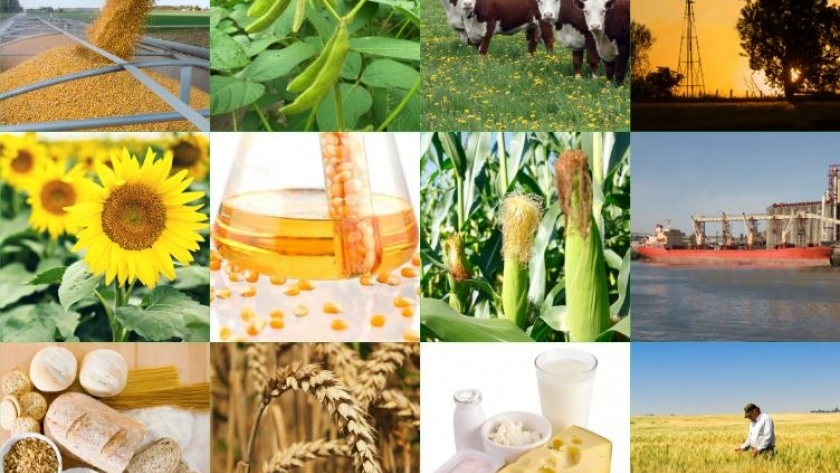 Agroindustria: a la espera de la ley para incentivar inversiones