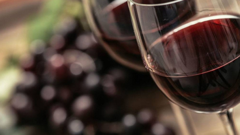 El INV convoca a bodegas y emprendedores para impulsar la comercialización vitivinícola