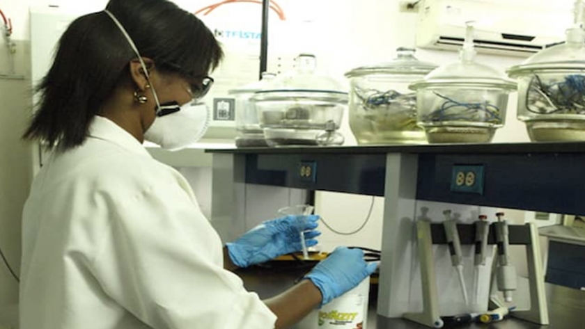 Inzit desarrolla producto biotecnológico que ayude a controlar las plagas agrícolas