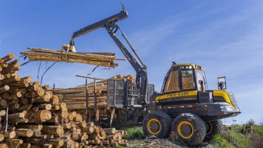PONSSE Mammoth, el mayor forwarder de la marca finlandesa ya se destaca en las operaciones forestales de la región