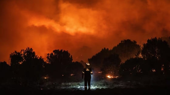 Incendios en la Patagonia: El Bolsón y Bariloche en alerta máxima ante el avance del fuego