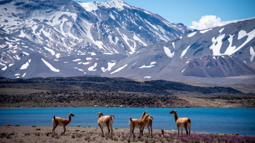 Laguna del Diamante abrió su temporada 2025 con más de 340 visitantes en su primer día