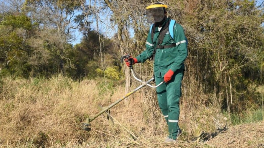 Desarrollo territorial y ambiente participó del operativo de limpieza en la zona de ribera del Arroyo Ojeda