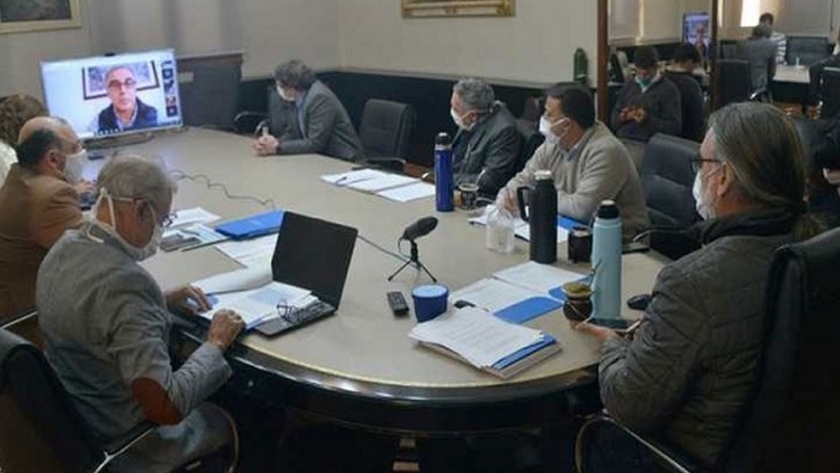 Corrientes presentó ante el CFA el desarrollo de las actividades productivas durante la pandemia por el covid-19