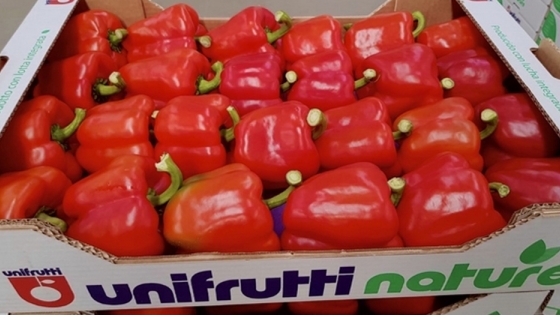Unifrutti se expande al negocio de las verduras