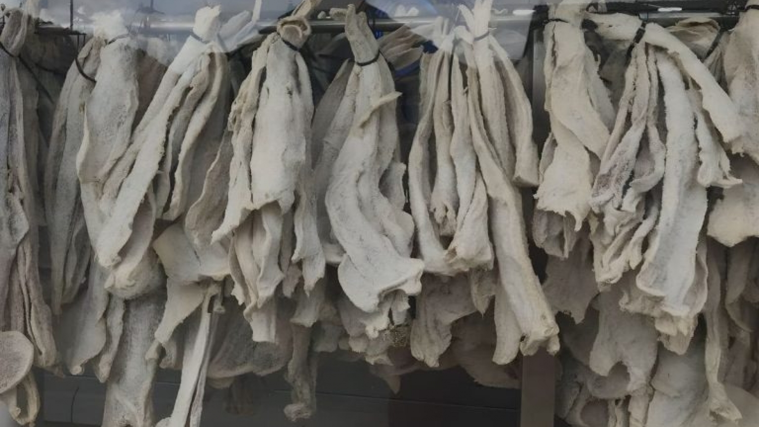 La FAO advierte que uno de cada cinco productos pesqueros estaría mal rotulado y alerta por riesgos sanitarios