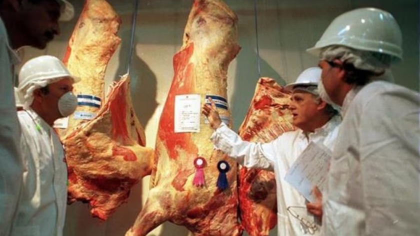 Crecen las importaciones de carne, pero las exportaciones avanzan a un ritmo mayor y fortalecen la inserción internacional