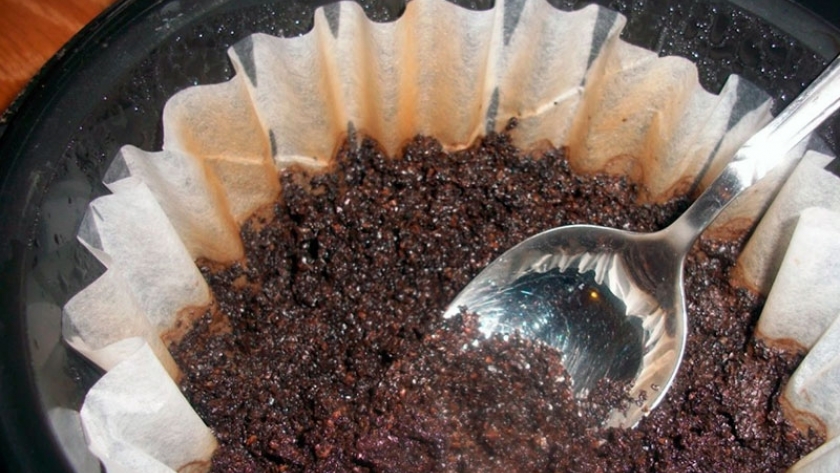 Los beneficios de reutilizar los desechos de café